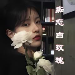 痴恋白玫瑰