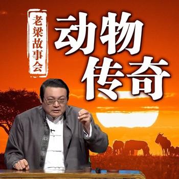 老梁故事会之动物传奇(多人剧)