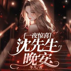 一夜惊喜：沈先生，晚安