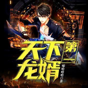 地摊王至尊龙婿(多人剧)