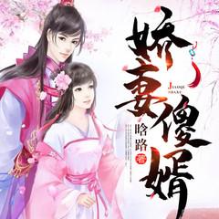 娇妻傻婿(多人剧)