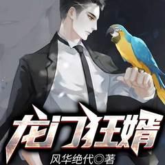 龙门狂婿(多人剧)