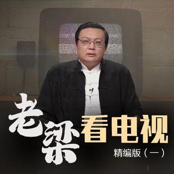 老梁看电视精编版(多人剧)