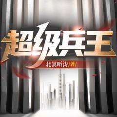 冷艳总裁的超级狂兵