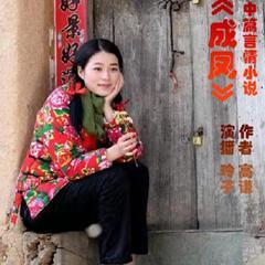 中篇言情小说成凤高谦著